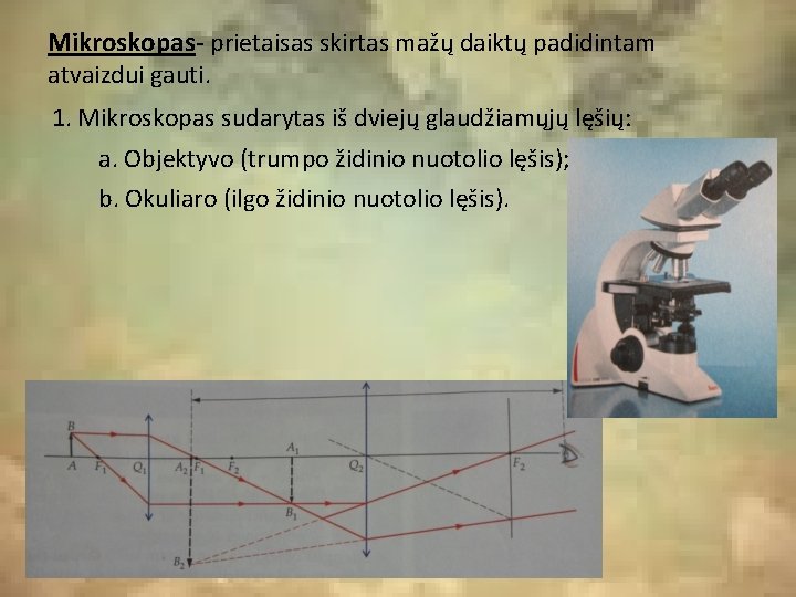 Mikroskopas- prietaisas skirtas mažų daiktų padidintam atvaizdui gauti. 1. Mikroskopas sudarytas iš dviejų glaudžiamųjų Mikroskopas- prietaisas skirtas mažų daiktų padidintam atvaizdui gauti. 1. Mikroskopas sudarytas iš dviejų glaudžiamųjų