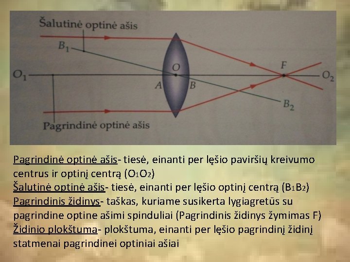 Pagrindinė optinė ašis- tiesė, einanti per lęšio paviršių kreivumo centrus ir optinį centrą (O