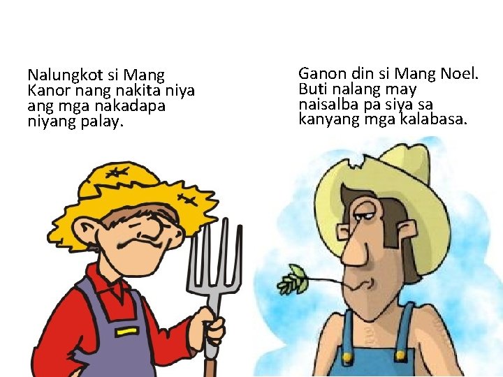 Nalungkot si Mang Kanor nang nakita niya ang mga nakadapa niyang palay. Ganon din