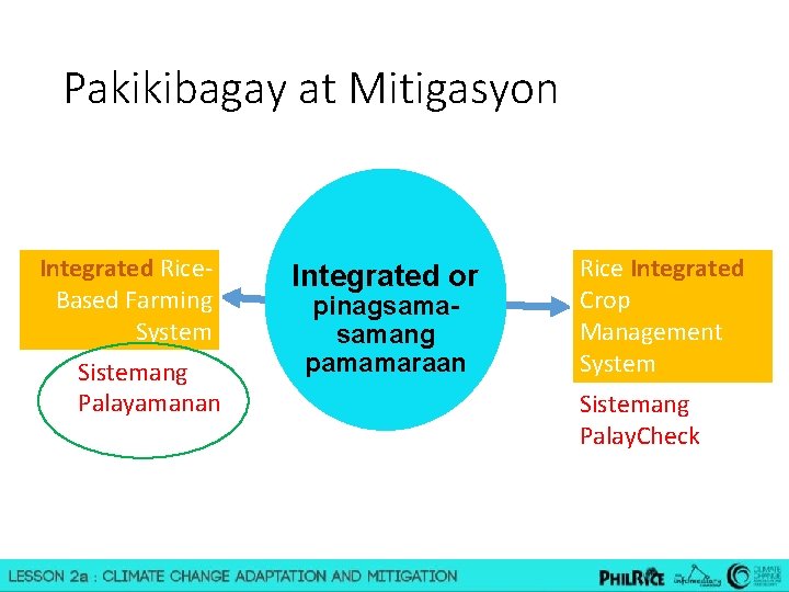 Pakikibagay at Mitigasyon Integrated Rice. Based Farming System Sistemang Palayamanan Integrated or pinagsamang pamamaraan