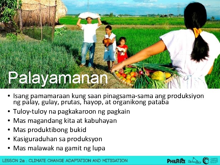 Palayamanan • Isang pamamaraan kung saan pinagsama-sama ang produksiyon ng palay, gulay, prutas, hayop,