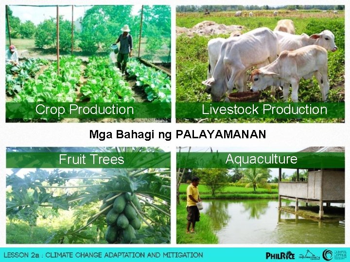 Crop Production Livestock Production Mga Bahagi ng PALAYAMANAN Fruit Trees Aquaculture 