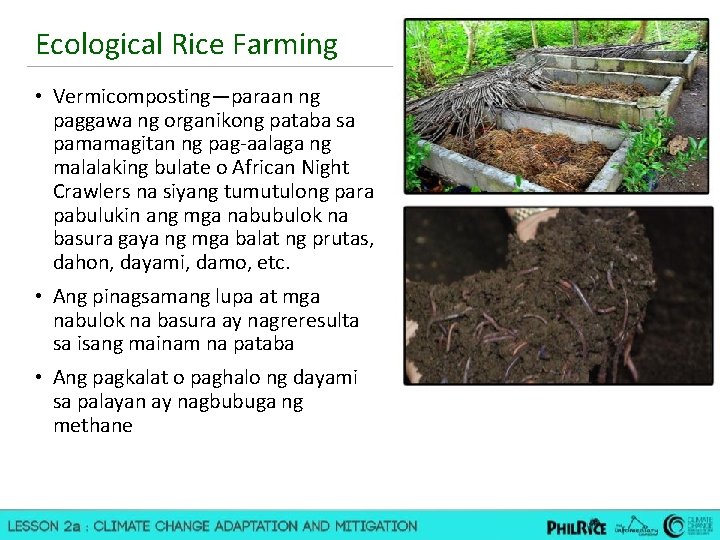 Ecological Rice Farming • Vermicomposting—paraan ng paggawa ng organikong pataba sa pamamagitan ng pag-aalaga
