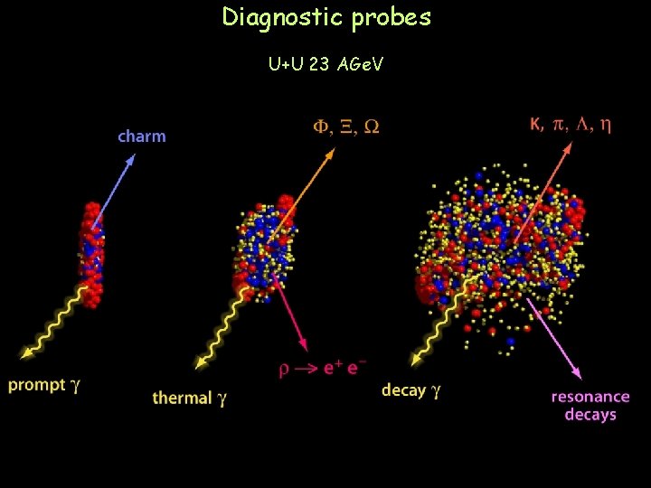 Diagnostic probes U+U 23 AGe. V 