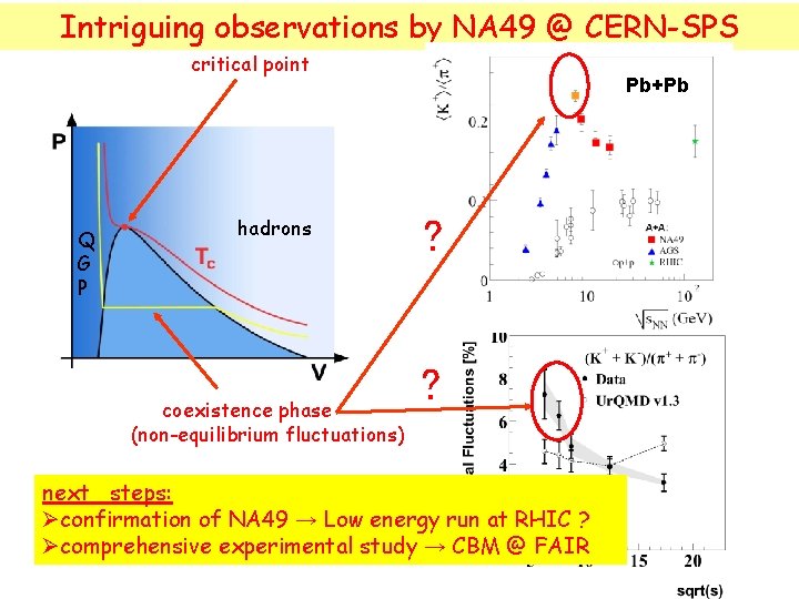 Intriguing observations by NA 49 @ CERN-SPS critical point Q G P hadrons coexistence