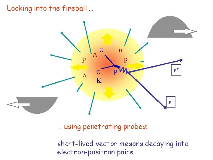 Looking into the fireball … p ++ K n p r e+ e… using