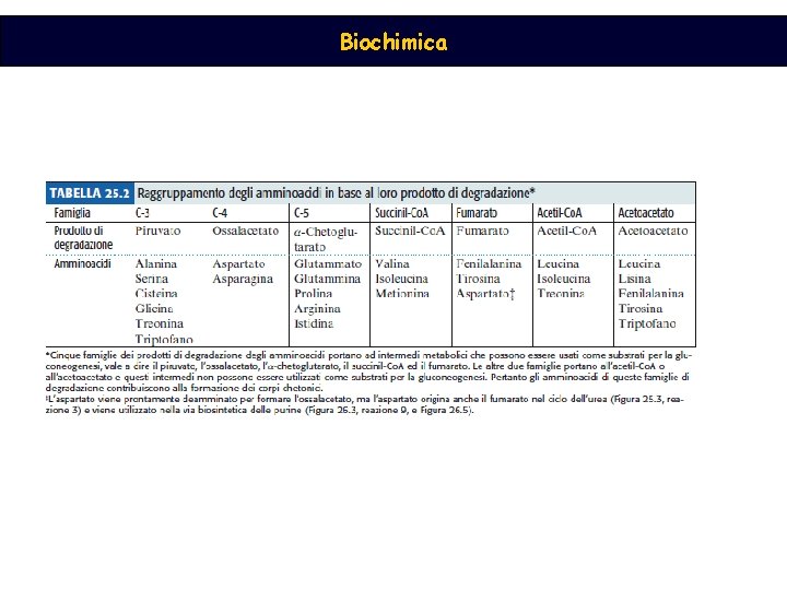 Biochimica 