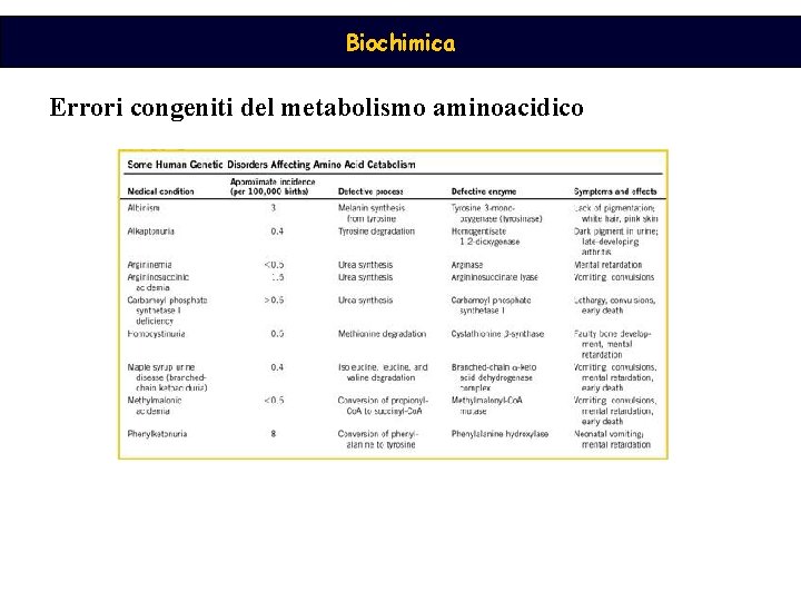 Biochimica Errori congeniti del metabolismo aminoacidico 