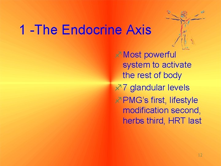1 -The Endocrine Axis f. Most powerful system to activate the rest of body