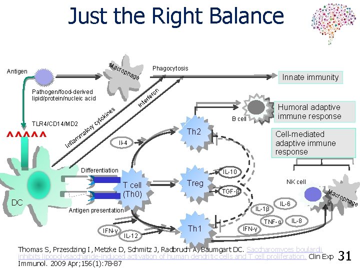 Just the Right Balance Ma cro Antigen Phagocytosis pha ge on Pathogen/food-derived lipid/protein/nucleic acid