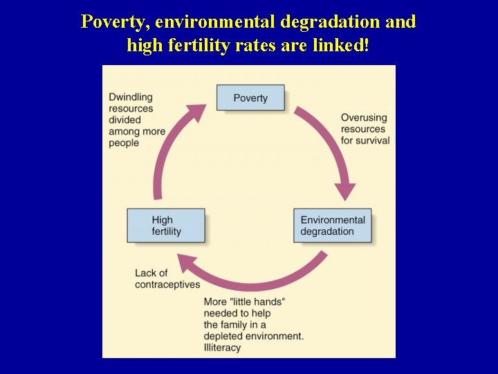 Poverty, environmental degradation and high fertility rates are linked! 