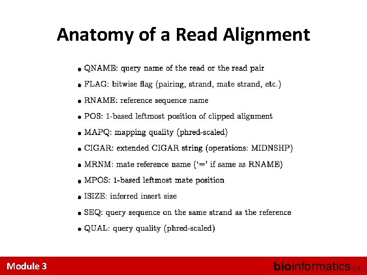 Anatomy of a Read Alignment Module 3 bioinformatics. ca 