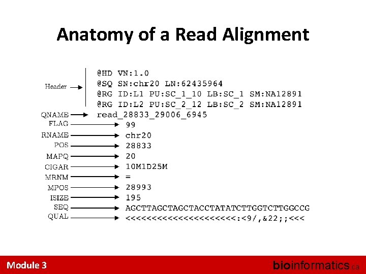 Anatomy of a Read Alignment Module 3 bioinformatics. ca 