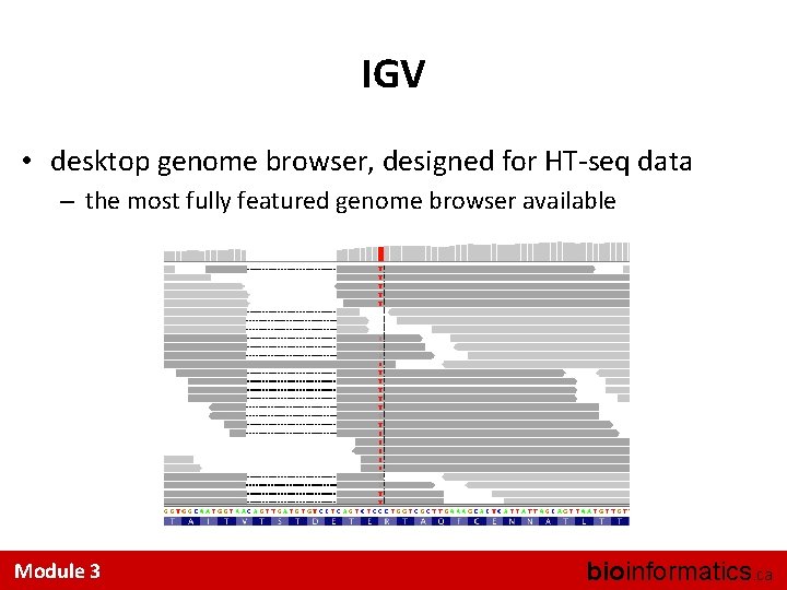 IGV • desktop genome browser, designed for HT-seq data – the most fully featured
