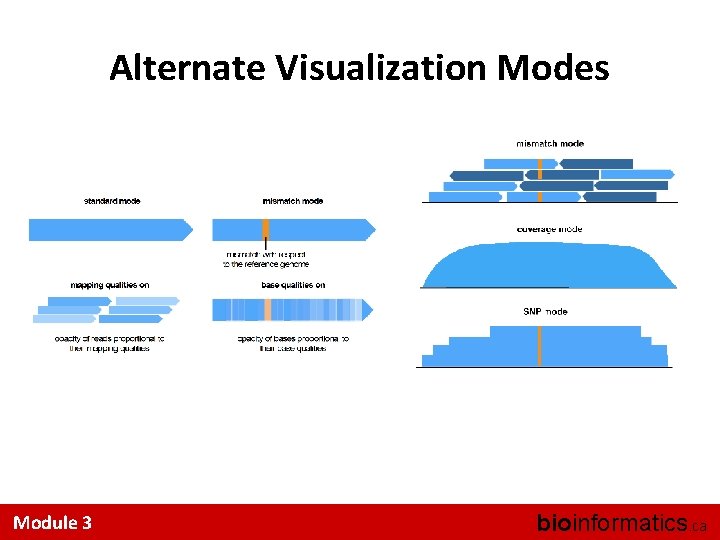 Alternate Visualization Modes Module 3 bioinformatics. ca 