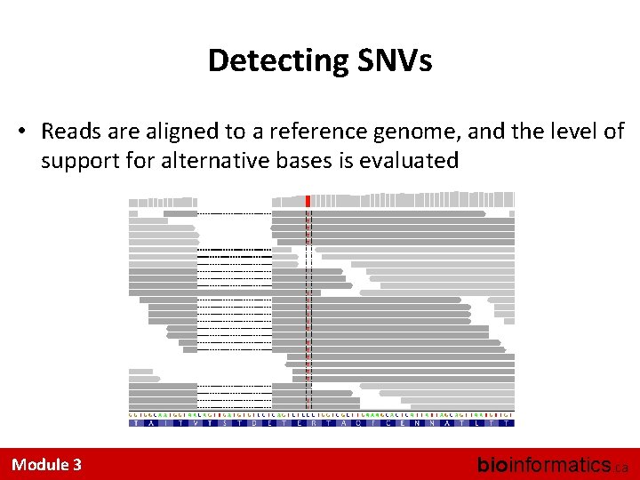 Detecting SNVs • Reads are aligned to a reference genome, and the level of