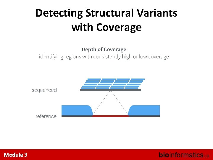 Detecting Structural Variants with Coverage Module 3 bioinformatics. ca 