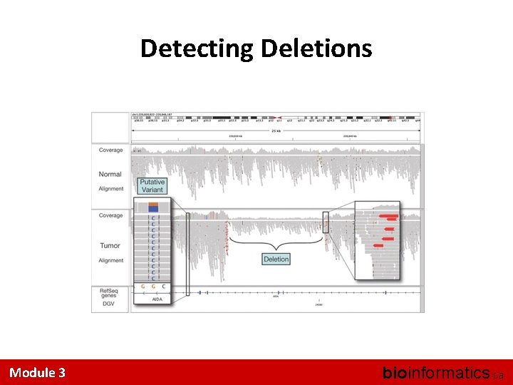 Detecting Deletions Module 3 bioinformatics. ca 