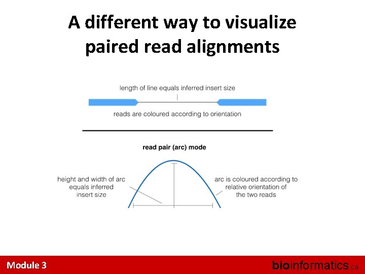 A different way to visualize paired read alignments Module 3 bioinformatics. ca 