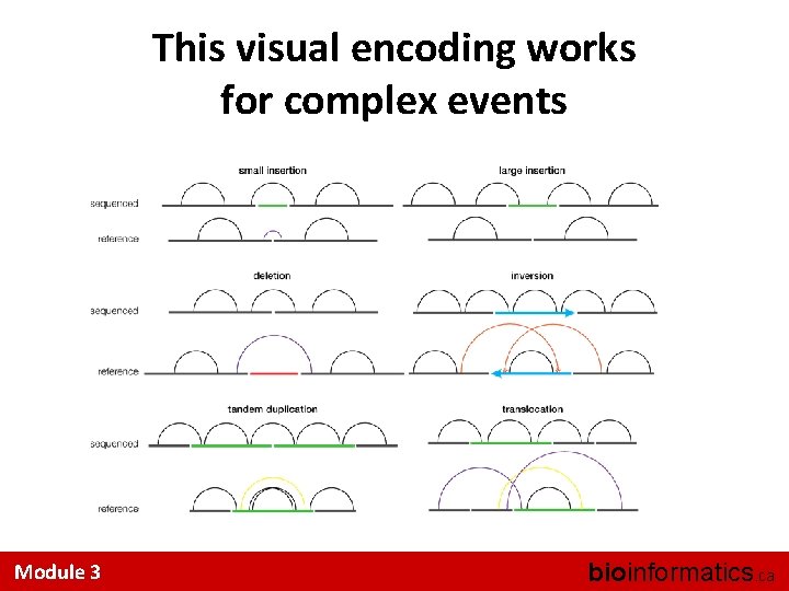 This visual encoding works for complex events Module 3 bioinformatics. ca 