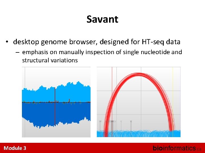 Savant • desktop genome browser, designed for HT-seq data – emphasis on manually inspection