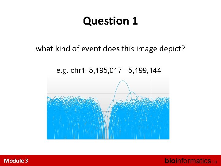 Question 1 what kind of event does this image depict? e. g. chr 1: