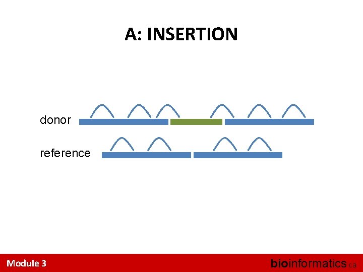 A: INSERTION donor reference Module 3 bioinformatics. ca 