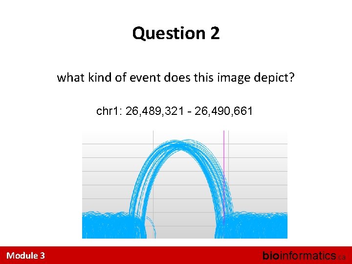 Question 2 what kind of event does this image depict? chr 1: 26, 489,