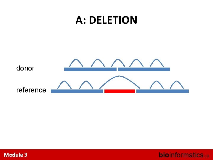 A: DELETION donor reference Module 3 bioinformatics. ca 