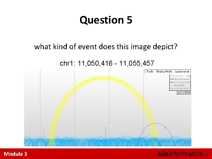 Question 5 what kind of event does this image depict? chr 1: 11, 050,