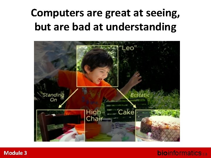 Computers are great at seeing, but are bad at understanding Module 3 bioinformatics. ca