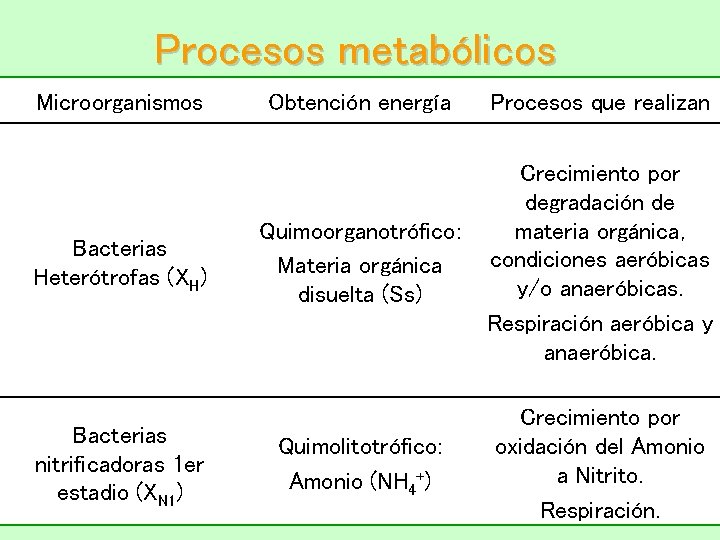 Procesos metabólicos Microorganismos Bacterias Heterótrofas (XH) Bacterias nitrificadoras 1 er estadio (XN 1) Obtención