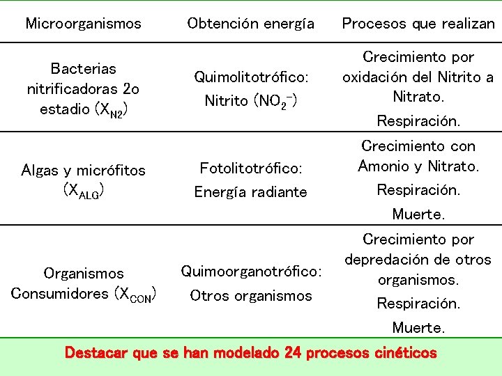 Microorganismos Bacterias nitrificadoras 2 o estadio (XN 2) Algas y micrófitos (XALG) Organismos Consumidores