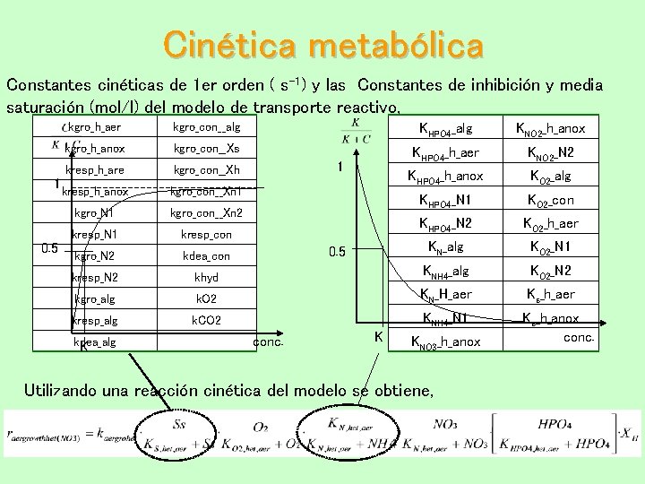 Cinética metabólica Constantes cinéticas de 1 er orden ( s-1) y las Constantes de