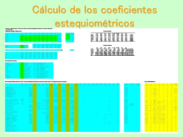 Cálculo de los coeficientes estequiométricos 