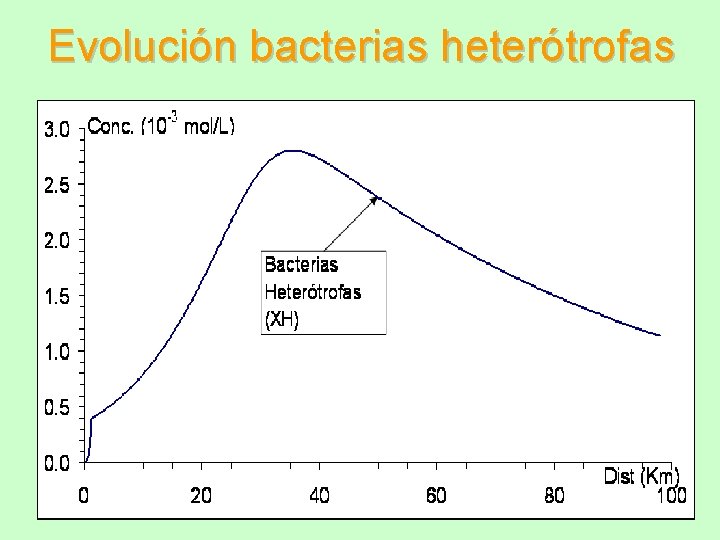 Evolución bacterias heterótrofas 