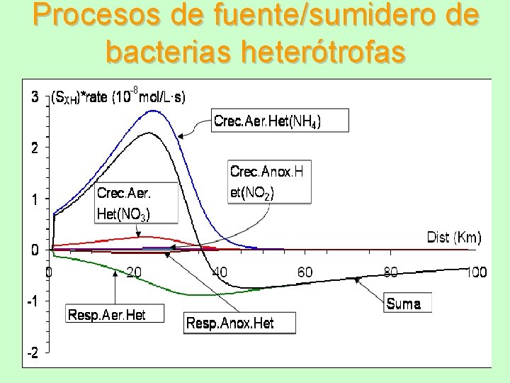 Procesos de fuente/sumidero de bacterias heterótrofas 
