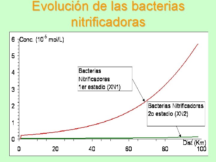 Evolución de las bacterias nitrificadoras 