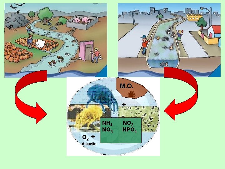 M. O. + O 2 + disuelto NH 4 NO 3 NO 2 HPO