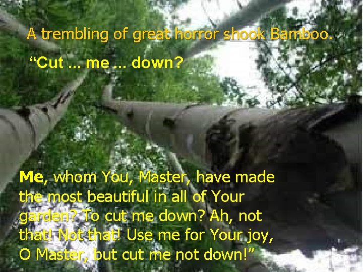 A trembling of great horror shook Bamboo. “Cut. . . me. . . down?