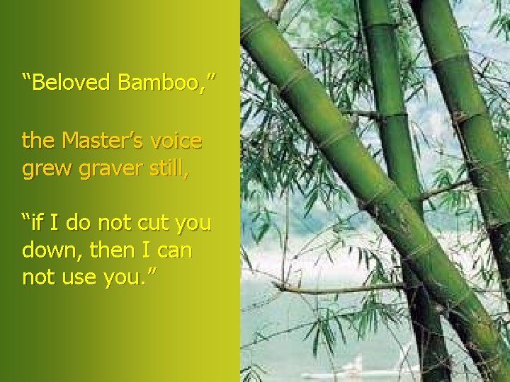 “Beloved Bamboo, ” the Master’s voice grew graver still, “if I do not cut