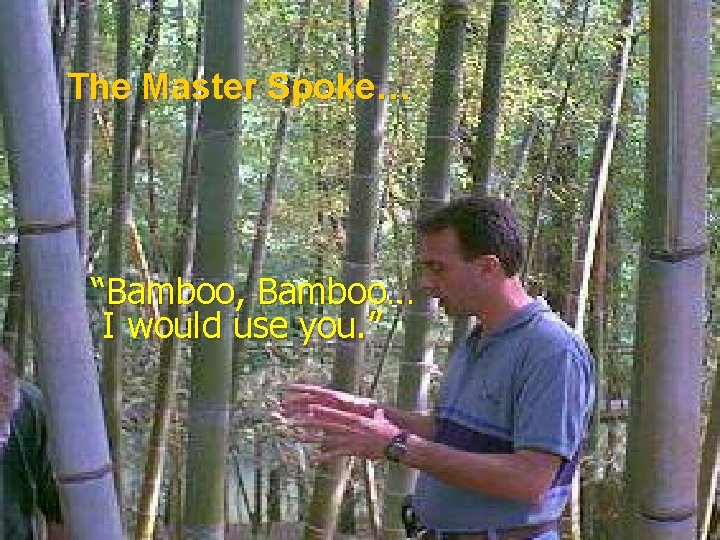 The Master Spoke… “Bamboo, Bamboo… I would use you. ” 