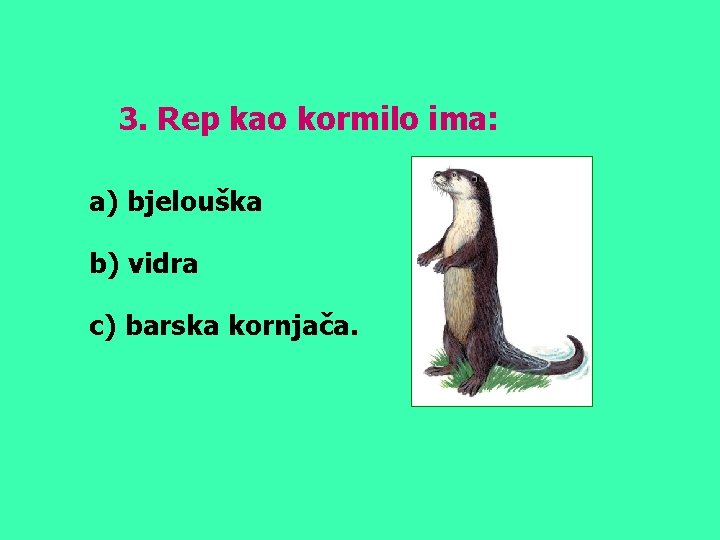 3. Rep kao kormilo ima: a) bjelouška b) vidra c) barska kornjača. 