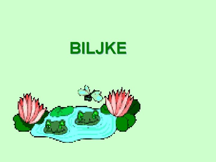 BILJKE 