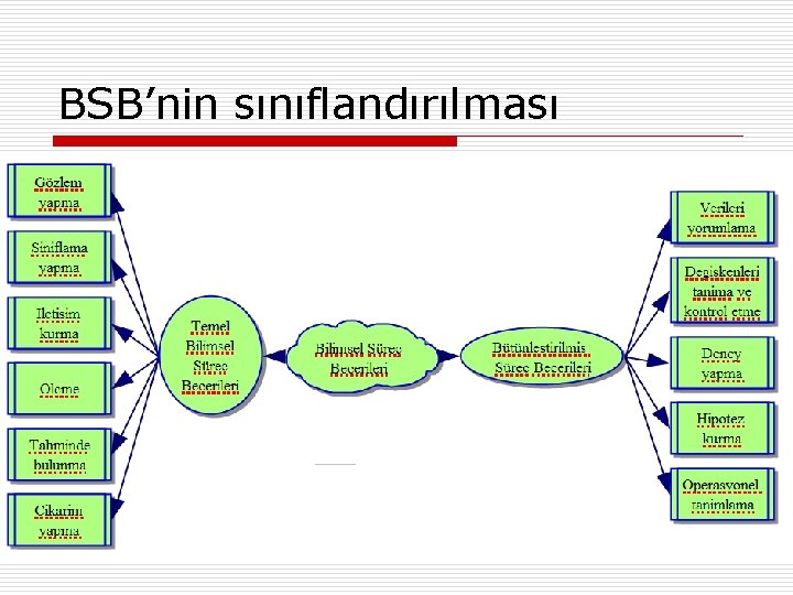 BSB’nin sınıflandırılması 