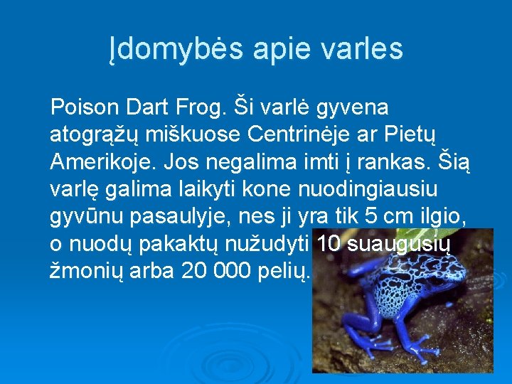 Įdomybės apie varles Poison Dart Frog. Ši varlė gyvena atogrąžų miškuose Centrinėje ar Pietų