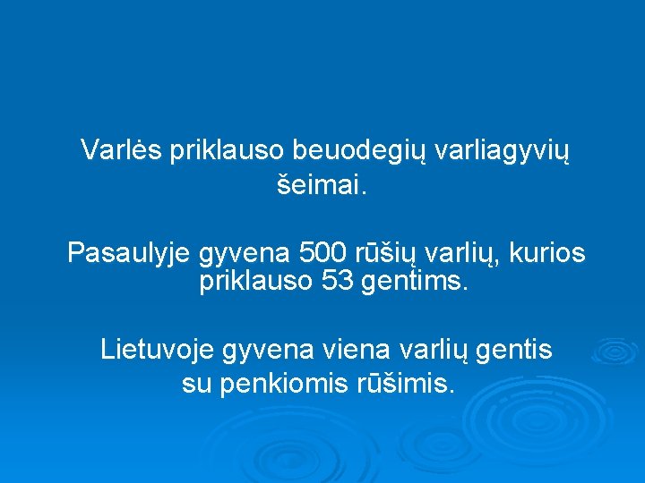  Varlės priklauso beuodegių varliagyvių šeimai. Pasaulyje gyvena 500 rūšių varlių, kurios priklauso 53