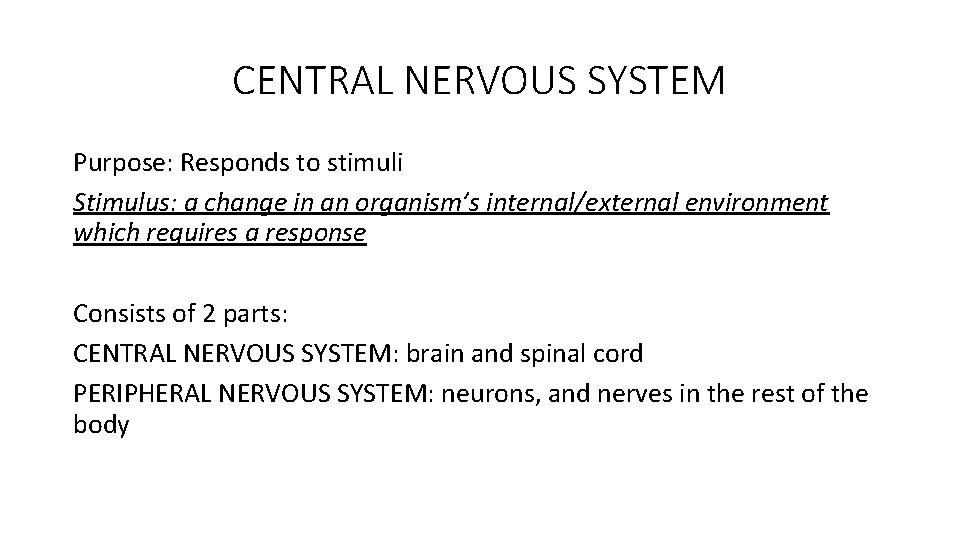CENTRAL NERVOUS SYSTEM Purpose: Responds to stimuli Stimulus: a change in an organism’s internal/external