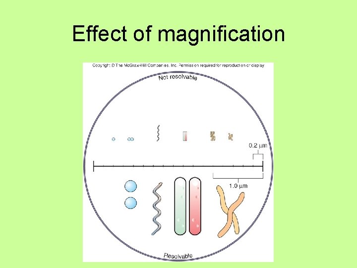 Effect of magnification 