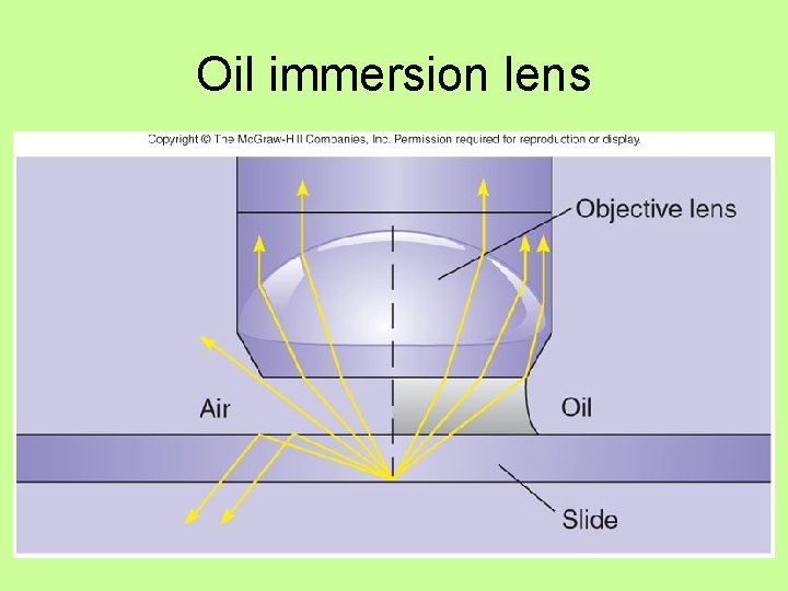 Oil immersion lens 